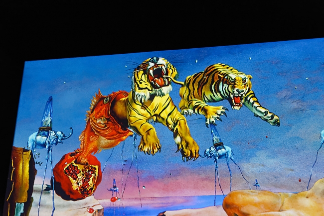 Bassins de lumières-Dali-026